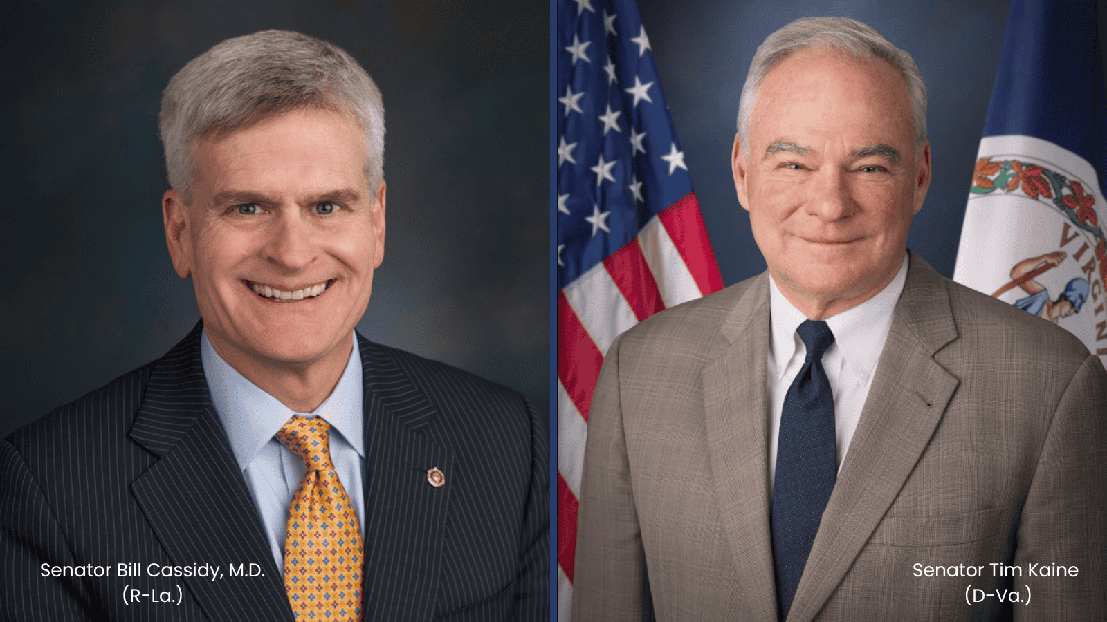 Champions - December 2025